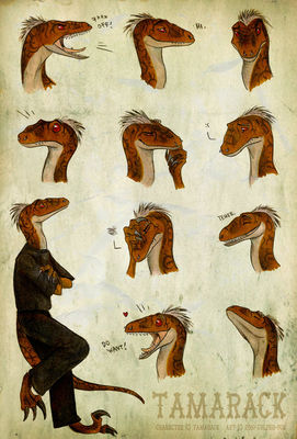 Tamarack
art by culpeo_fox
Keywords: dinosaur;theropod;raptor;velociraptor;male;anthro;solo;reference;non-adult;culpeo_fox