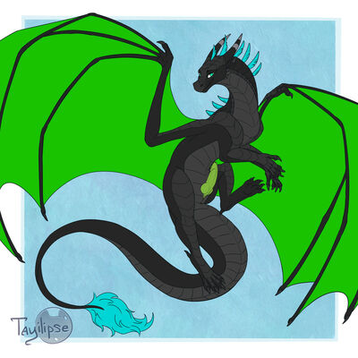 Nightwing Ancestry (Wings_of_Fire)
art by tayilipse
Keywords: wings_of_fire;nightwing;hybrid;dragon;male;feral;solo;penis;tayilipse