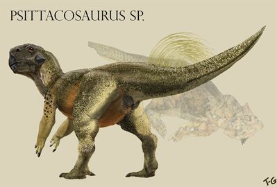 Psittacosaurus
art by tessasaurus_rex
Keywords: dinosaur;ceratopsid;psittacosaurus;feral;solo;cloaca;tessasaurus_rex