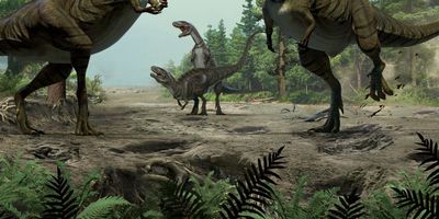 Theropods Mating
art by Lida Xing and Yujiang Han
Keywords: dinosaur;theropod;male;female;feral;M/F;from_behind;lida_xing;yujiang_han