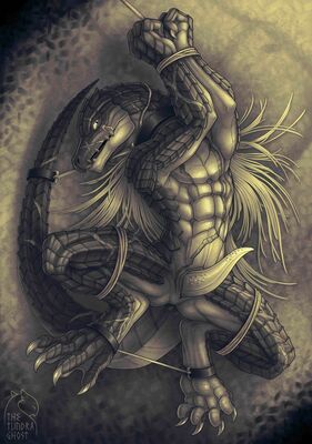 Shasuryu_Shasha (Overlord)
art by thetundraghost
Keywords: anime;overlord;lizardman;shasuryu_shasha;male;anthro;solo;penis;bondage;thetundraghost