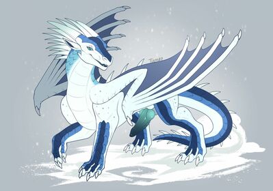 Icewing (Wings_of_Fire)
art by tiama
Keywords: wings_of_fire;icewing;dragon;male;feral;solo;penis;tiama