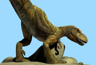 Rex Butt
art by wooky
Keywords: beast;dinosaur;theropod;tyrannosaurus_rex;trex;feral;male;solo;cgi;wooky