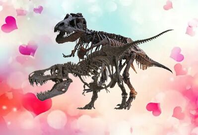 Rex Skeletons Mating
unknown creator
Keywords: dinosaur;theropod;tyrannosaurus_rex;trex;male;female;feral;M/F;from_behind;skeleton;humor