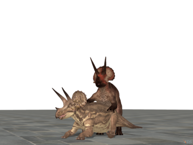 Mating Triceratops 2
art by dovahsaurpaleoknight
Keywords: dinosaur;ceratopsid;triceratops;male;female;feral;M/F;from_behind;suggestive;cgi;dovahsaurpaleoknight