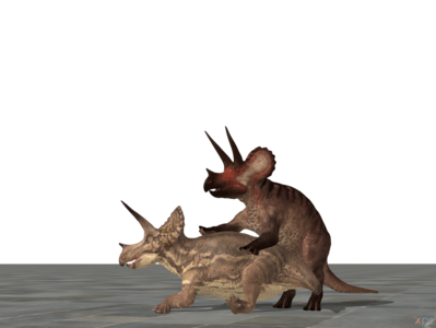 Mating Triceratops 1
art by dovahsaurpaleoknight
Keywords: dinosaur;ceratopsid;triceratops;male;female;feral;M/F;from_behind;suggestive;cgi;dovahsaurpaleoknight
