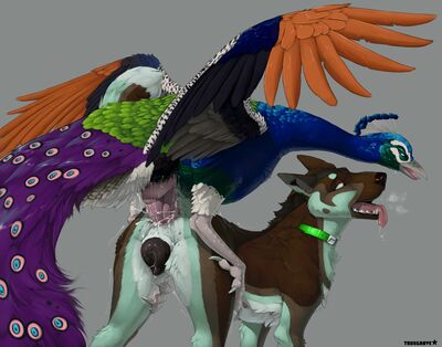 Pea-cocked
art by truegrave9
Keywords: bird;avian;peacock;furry;canine;dog;male;feral;M/M;penis;from_behind;anal;spooge;truegrave9
