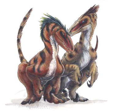 Two Raptors
art by syntarsis
Keywords: dinosaur;theropod;raptor;utahraptor;male;female;feral;romance;non-adult;syntarsis