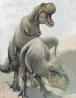 Tyrannosaur Copulation
unknown artist
Keywords: dinosaur;theropod;tyrannosaurus_rex;trex;male;female;feral;M/F;from_behind