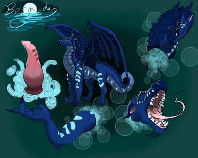 Bermuda Seawing (Wings_of_Fire)
art by universaldragon
Keywords: wings_of_fire;seawing;dragoness;female;feral;solo;penis;spooge;closeup;reference;universaldragon