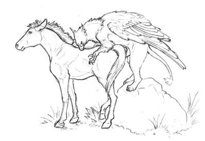 Gryphon Mounting A Mare
art by amagire
Keywords: gryphon;furry;equine;horse;male;female;feral;M/F;penis;from_behind;amagire