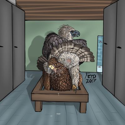 Ass Kisser
art by uppmap123
Keywords: bird;avian;eagle;hawk;male;feral;M/M;cloaca;69;oral;anal;rimjob;spooge;uppmap123