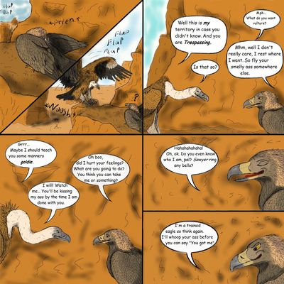 Vulture and Eagle 1
art by uppmap123
Keywords: comic;avian;bird;eagle;vulture;male;feral;M/M;suggestive;uppmap123