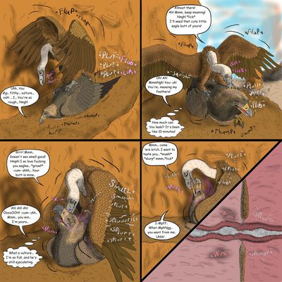 Vulture and Eagle 3
art by uppmap123
Keywords: comic;avian;bird;eagle;vulture;male;feral;M/M;from_behind;cloaca;cloacal_penetration;internal;spooge;uppmap123