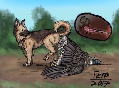 Dog and Eagle
art by uppmap123
Keywords: bird;avian;eagle;furry;canine;dog;male;feral;M/M;penis;anal;internal;spooge;uppmap123