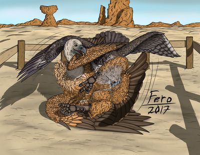 Royal Screwup
art by uppmap123
Keywords: bird;avian;vulture;hawk;male;feral;M/M;cloaca;suggestive;uppmap123