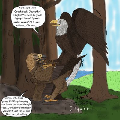 Sex Education
art by uppmap123
Keywords: avian;bird;eagle;male;feral;M/M;from_behind;cloaca;spooge;uppmap123