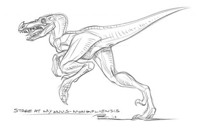 Velociraptor
unknown creator
Keywords: dinosaur;theropod;raptor;velociraptor;feral;solo;cloaca
