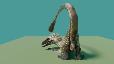 Raptor Presenting
art by vulumar
Keywords: dinosaur;theropod;raptor;female;feral;solo;cloaca;presenting;cgi;vulumar