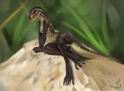 Anthro Lizard
art by w4g4
Keywords: lizard;female;anthro;breasts;solo;vagina;w4g4