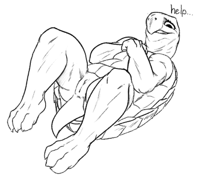 Help Me
art by w4g4
Keywords: tortoise;turtle;female;anthro;solo;vagina;humor;w4g4