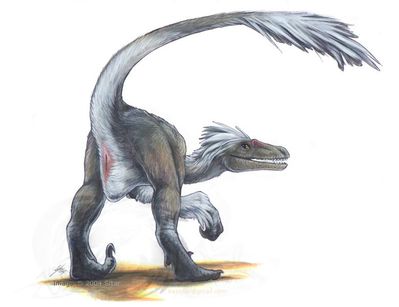 White Tip Presenting
art by syntarsis
Keywords: dinosaur;theropod;raptor;velociraptor;female;feral;solo;cloaca;presenting;syntarsis