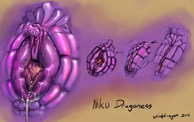 Niku's Vagina
art by winddragon
Keywords: dragoness;female;feral;solo;vagina;closeup;spooge;winddragon