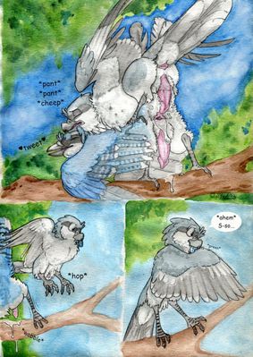 Bird Songs 11
art by windpaw
Keywords: comic;bird;avian;shrike;blue_jay;male;feral;M/M;penis;from_behind;anal;spooge;windpaw