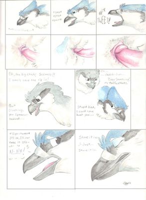 Bird Songs 2
art by windpaw
Keywords: comic;bird;avian;shrike;blue_jay;male;feral;M/M;from_behind;penis;closeup;windpaw