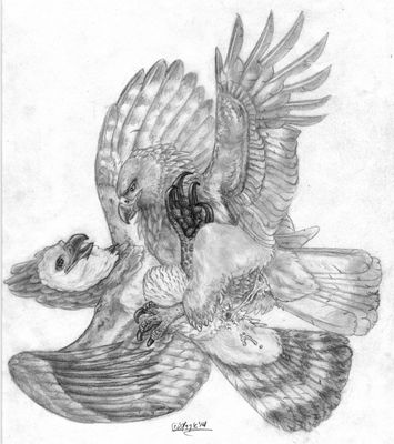 Hawks
art by windpaw
Keywords: avian;bird;hawk;male;feral;M/M;cloaca;missionary;spooge;windpaw