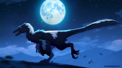 Latenivenatrix
art by wingedwolf94
Keywords: dinosaur;theropod;latenivenatrix;feral;solo;non-adult;wingedwolf94