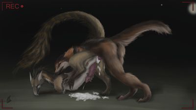 Wolf and Dragon
art by dsw7
Keywords: dragon;furry;canine;wolf;male;anthro;M/M;penis;from_behind;anal;spooge;masturbation;dsw7