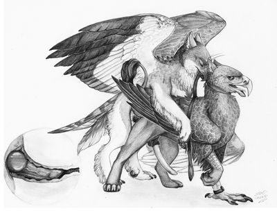Blaze Gets His Turn
art by wolfgryph
Keywords: gryphon;male;feral;M/M;bondage;penis;from_behind;anal;internal;wolfgryph