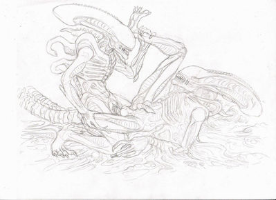 Male Xenomorphs
unknown artist
Keywords: alien;xenomorph;anthro;male;M/M;penis;missionary;anal