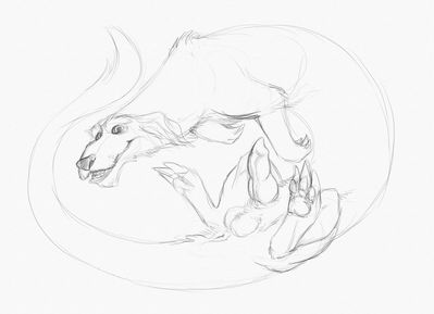 Falkor
art by yaroul
Keywords: the_neverending_story;dragon;falcor;male;feral;solo;penis;yaroul
