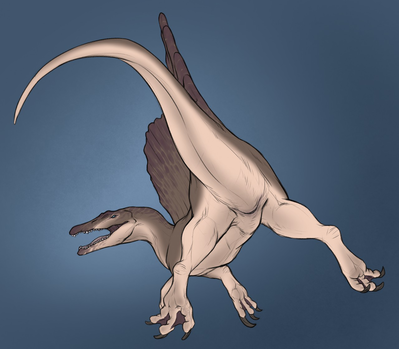 Female Spinosaur
art by yaroul
Keywords: dinosaur;theropod;spinosaurus;female;feral;solo;cloaca;yaroul