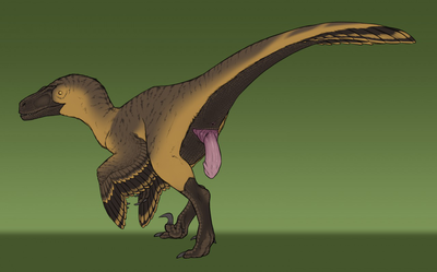 Utahraptor
art by yaroul
Keywords: dinosaur;theropod;raptor;utahraptor;male;feral;solo;penis;yaroul