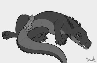 Aetius Gator
art by yurusan
Keywords: crocodilian;alligator;gator;male;feral;solo;penis;spooge;yurusan