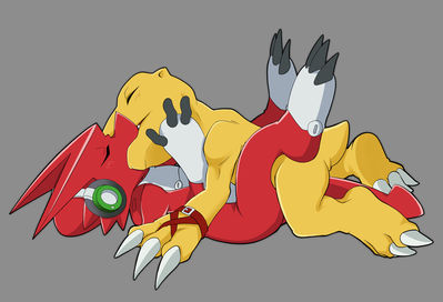 Agumon x Shoutmon 1
art by kinglom
Keywords: anime;digimon;dragon;agumon;shoutmon;male;M/M;missionary;anal;kinglom