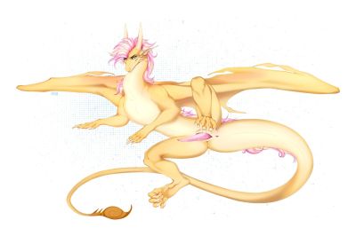 Sandwing Exposed (Wings_of_Fire)
art by zicwi
Keywords: wings_of_fire;sandwing;dragon;male;feral;solo;penis;zicwi