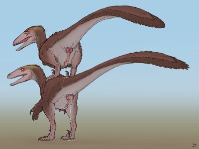 After Sex
art by zw3
Keywords: dinosaur;theropod;raptor;male;feral;M/M;penis;from_behind;suggestive;spooge;zw3