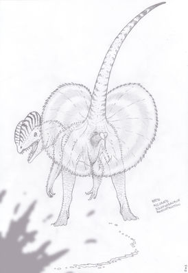 Dilophosaurus
art by zw3
Keywords: dinosaur;theropod;dilophosaurus;male;feral;solo;penis;ejaculation;spooge;humor;zw3