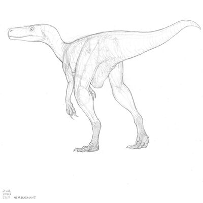 Herrerasaurus
art by zw3
Keywords: dinosaur;theropod;herrerasaurus;feral;solo;cloaca;zw3