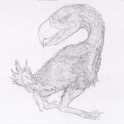 Paraphysornis
art by zw3
Keywords: dinosaur;avian;bird;terror_bird;paraphysornis;male;feral;solo;penis;zw3