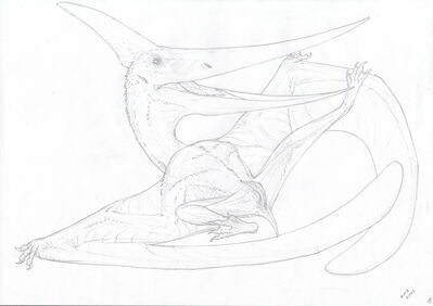 Pteranodon
art by zw3
Keywords: dinosaur;pterodactyl;pteranodon;male;feral;solo;penis;zw3
