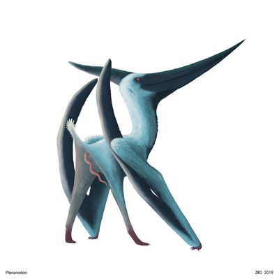 Male Pterosaur
art by zw3
Keywords: dinosaur;pterodactyl;male;feral;solo;penis;zw3