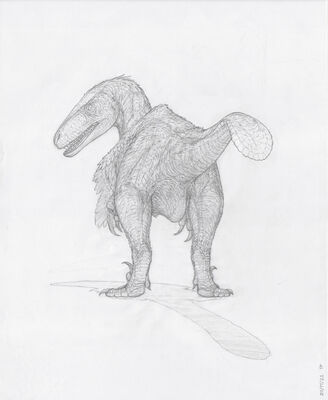 Utahraptor
art by zw3
Keywords: dinosaur;theropod;raptor;utahraptor;feral;solo;cloaca;zw3