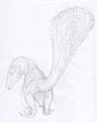 Velociraptor Cloaca
art by zw3
Keywords: dinosaur;theropod;raptor;velociraptor;feral;solo;cloaca;zw3