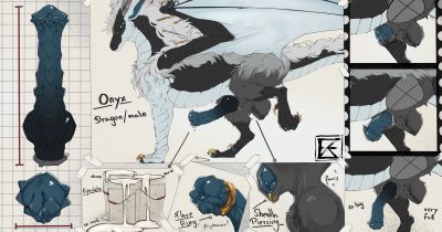 Onyx (Wings_of_Fire)
art by zweikopfeinhorn
Keywords: wings_of_fire;icewing;nightwing;hybrid;dragon;male;feral;solo;penis;reference;closeup;zweikopfeinhorn