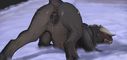Filename=1346382926_narse_zool_porn.jpg
Filesize=67KiB
Dimensions=1280x607
Date added=Dec 16, 2016 1346382926_narse_zool_porn.jpg